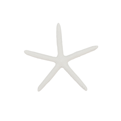 Saro Lifestyle HA162 Resin Starfish
