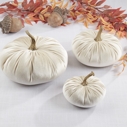 Saro Lifestyle HA638 Velvet Pumpkins - Set Of 6