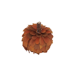 Saro Lifestyle HA759 Pumpkin Accent