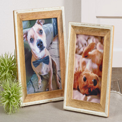 Saro Lifestyle PF027 Distressed Wood Photo Frame