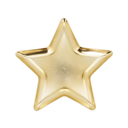 saro lifestyle SE818 Decorative Star Tray