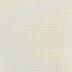 Saro Lifestyle TH021 Tasseled Waffle Weave Throw