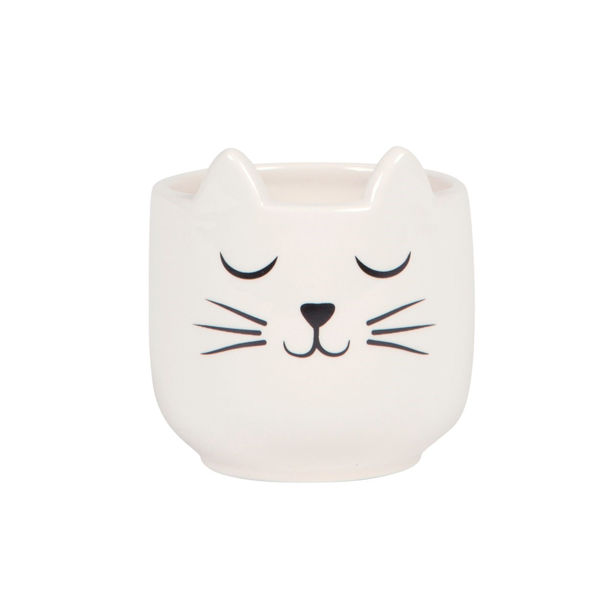 sass & bell Mini Cat's Whiskers White Planter