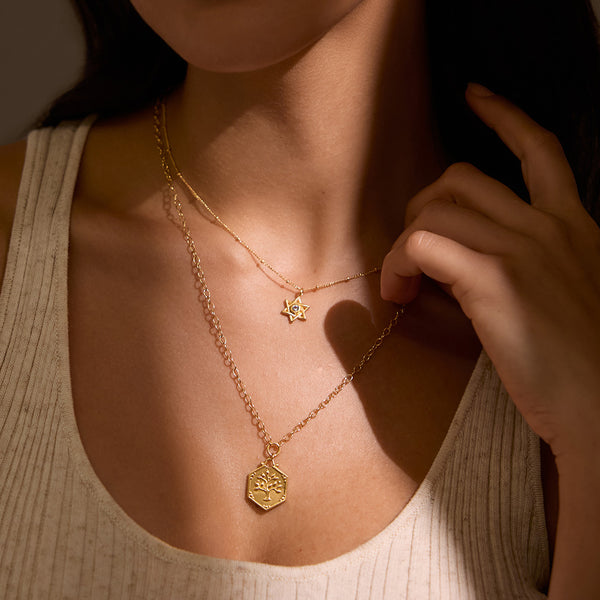 Satya Jewelry Guiding Faith Star Of David Necklace