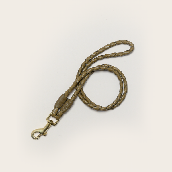 savas The Lanyard Moss