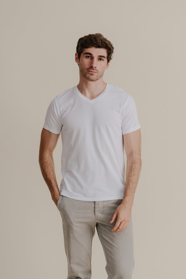 save khaki united Men's Supima V-Neck Tee Rye Grass