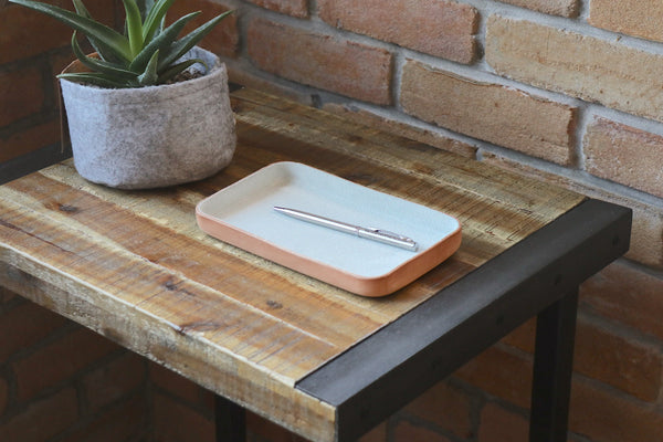 Save Khaki United Suede Leather Tray Brown