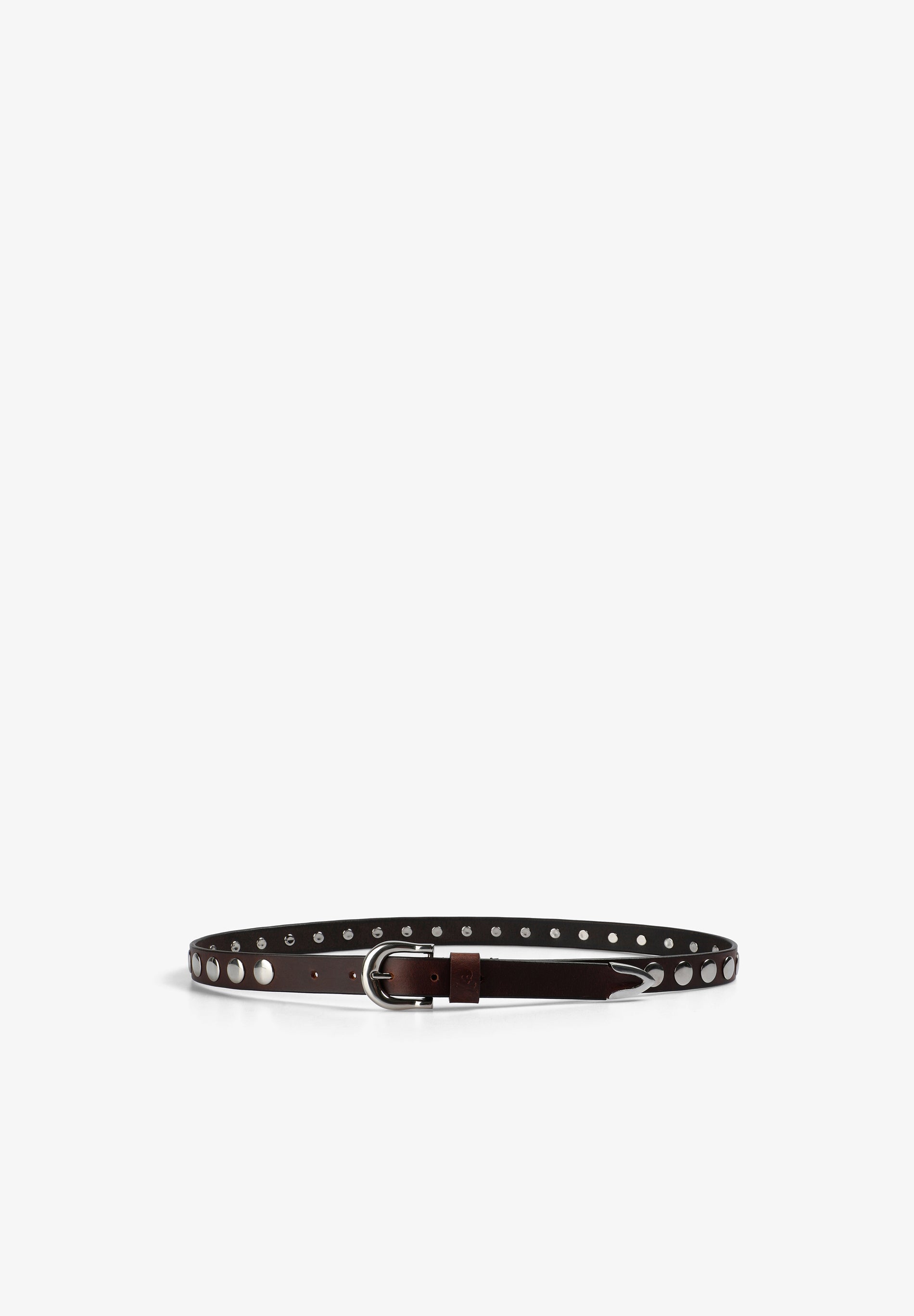 Scalpers CLASSIC STUDDED LEATHER BELT BROWN