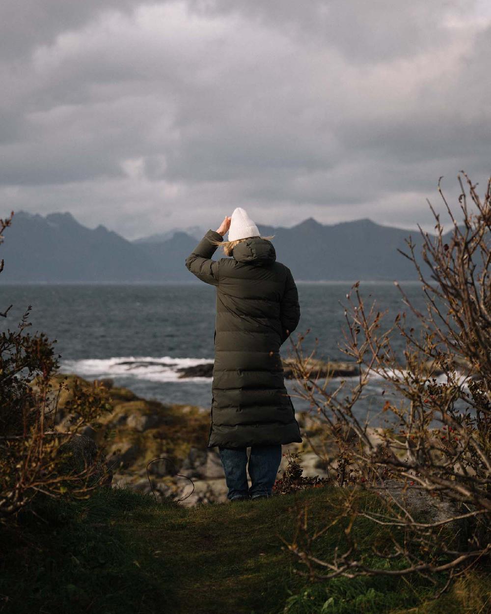 Scandinavian Edition Meridian II — Dark Olive