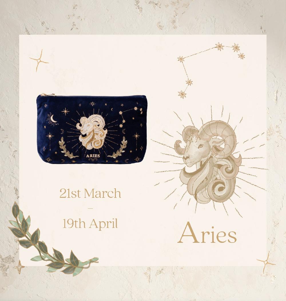 Scarlettsbags Aries Navy Everyday Pouch