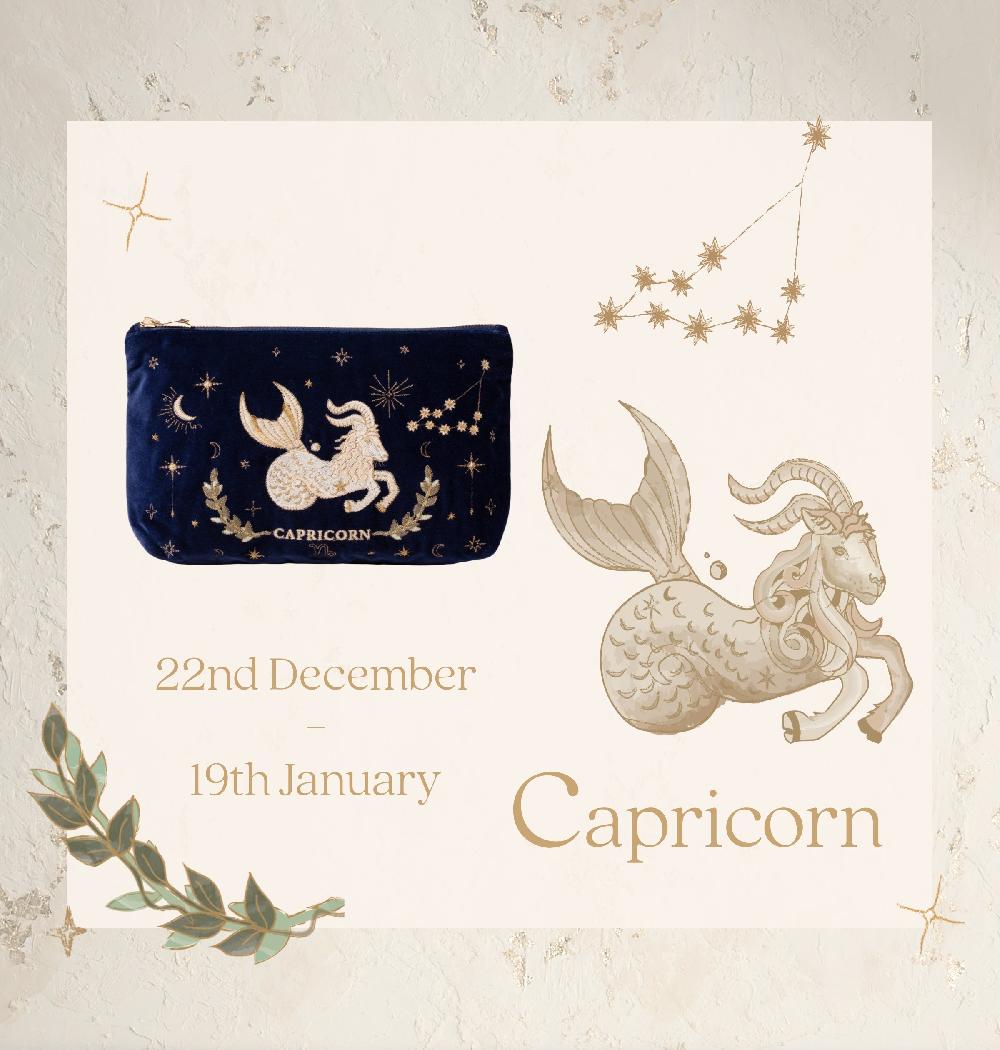 Scarlettsbags Capricorn Navy Everyday Pouch