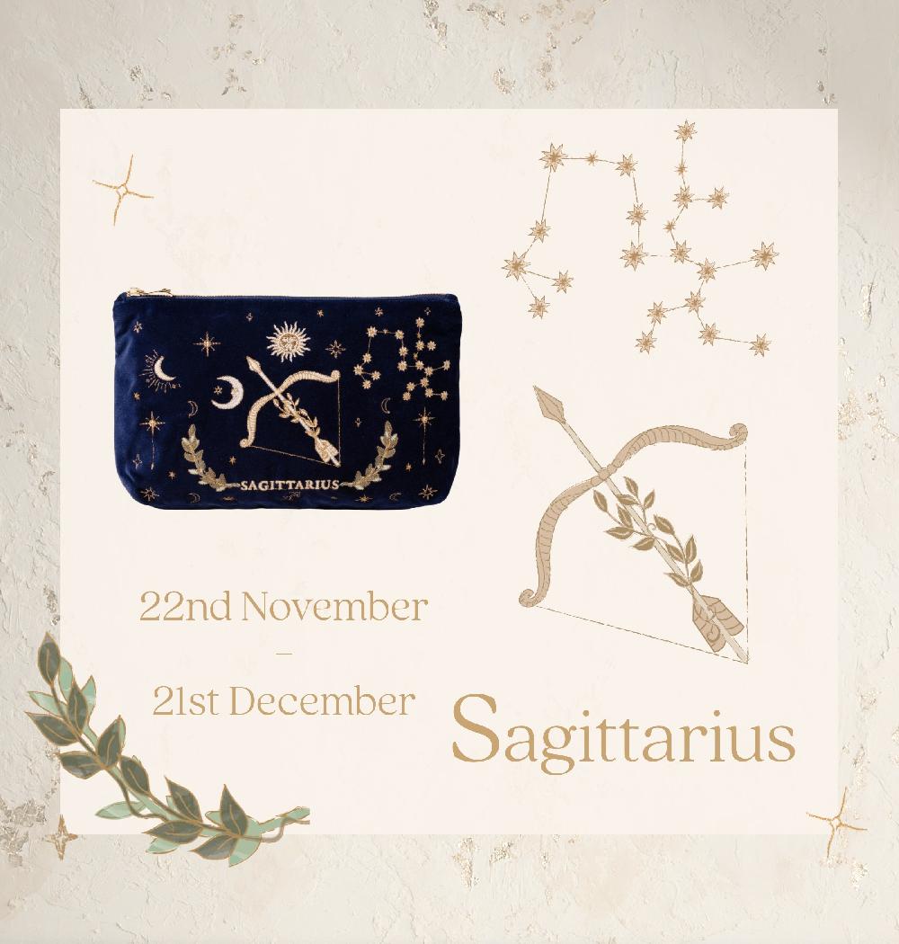 Scarlettsbags Sagittarius Navy Everyday Pouch