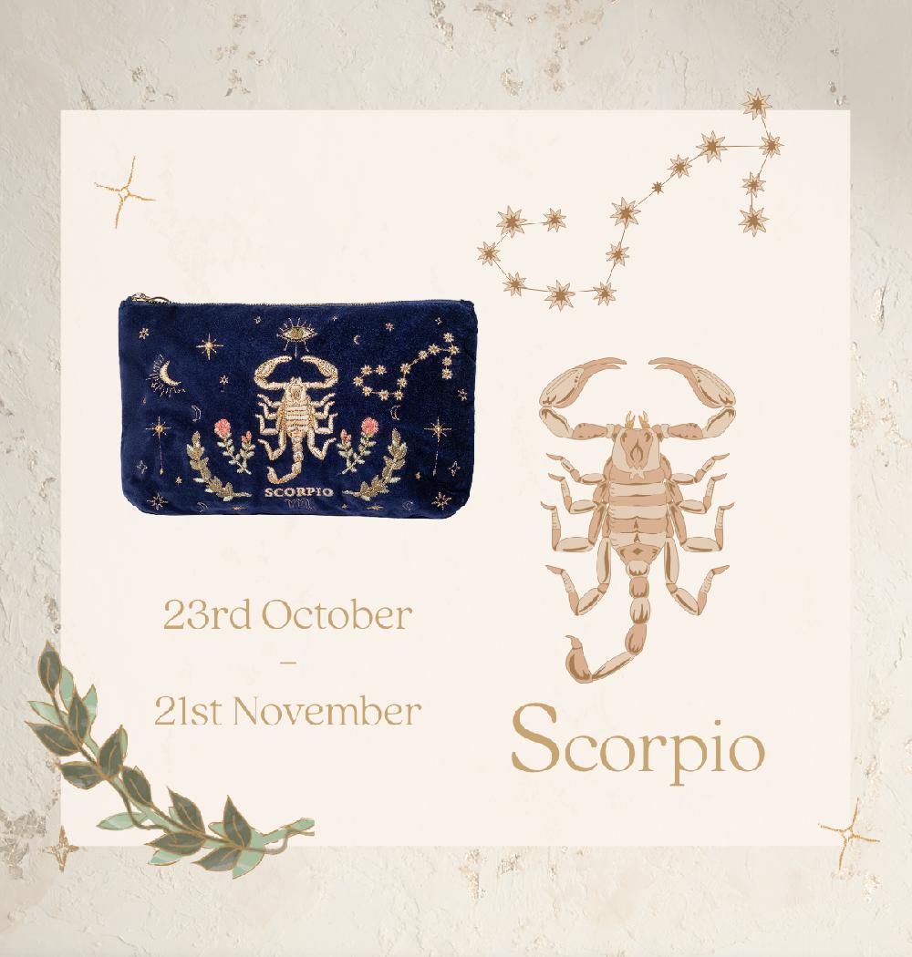 Scarlettsbags Scorpio Everyday Pouch