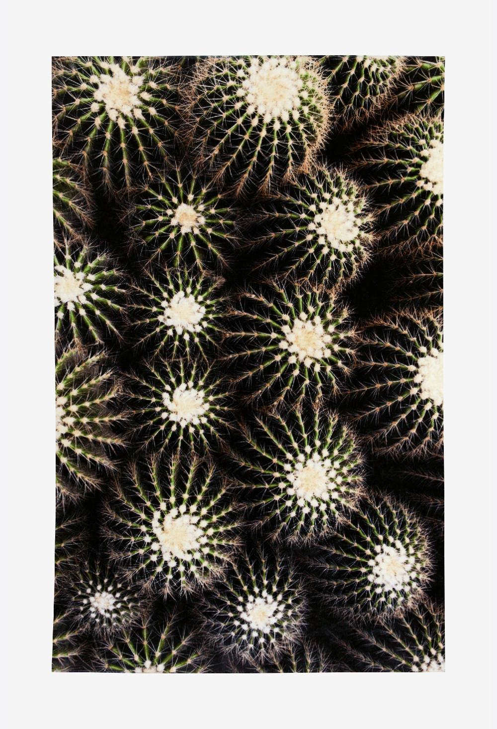 schoenstaub Beach Towel Cactus Special Size Green