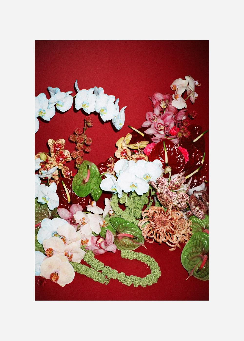 schoenstaub Paper Print Fiori 1