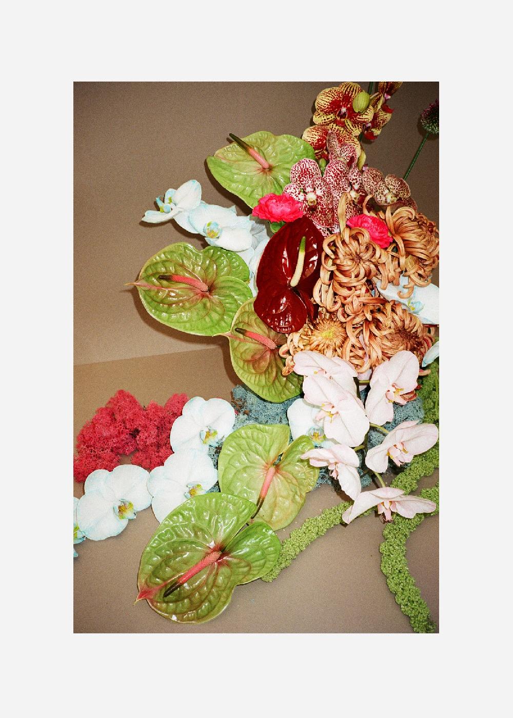 schoenstaub Paper Print Fiori 2