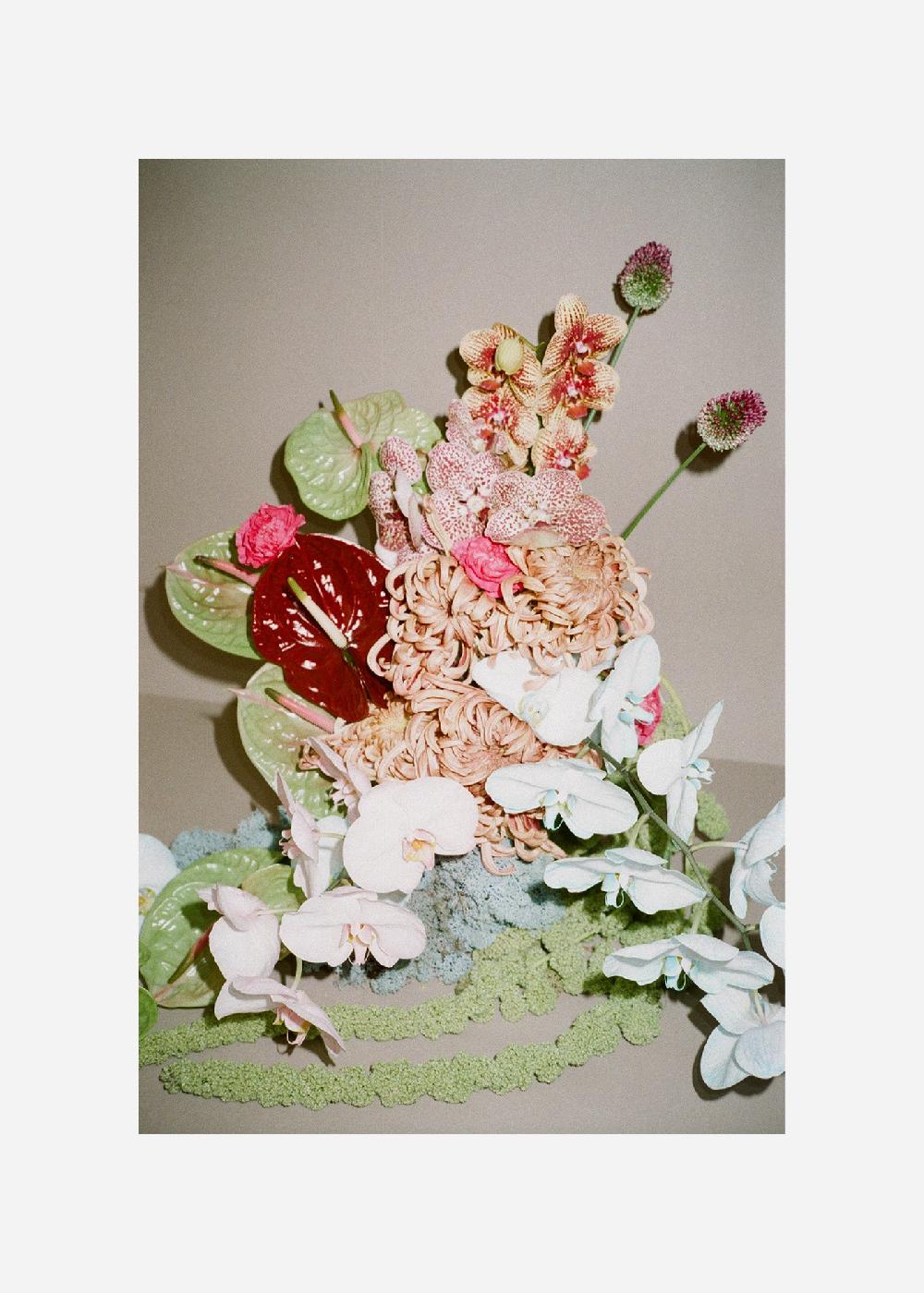 schoenstaub Paper Print Fiori 4