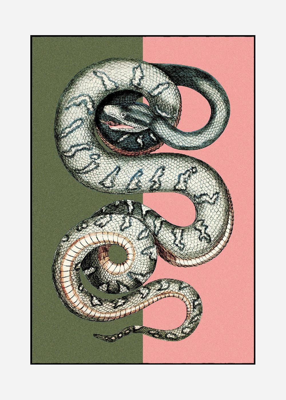 schoenstaub Rug Serpentes 1 Green