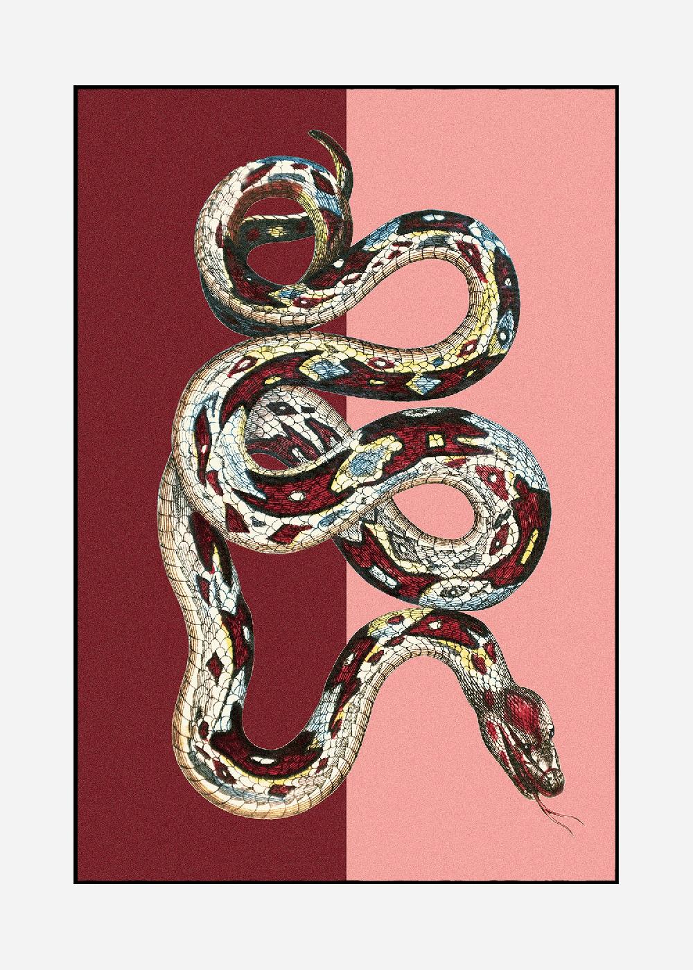 schoenstaub Rug Serpentes 2 Red