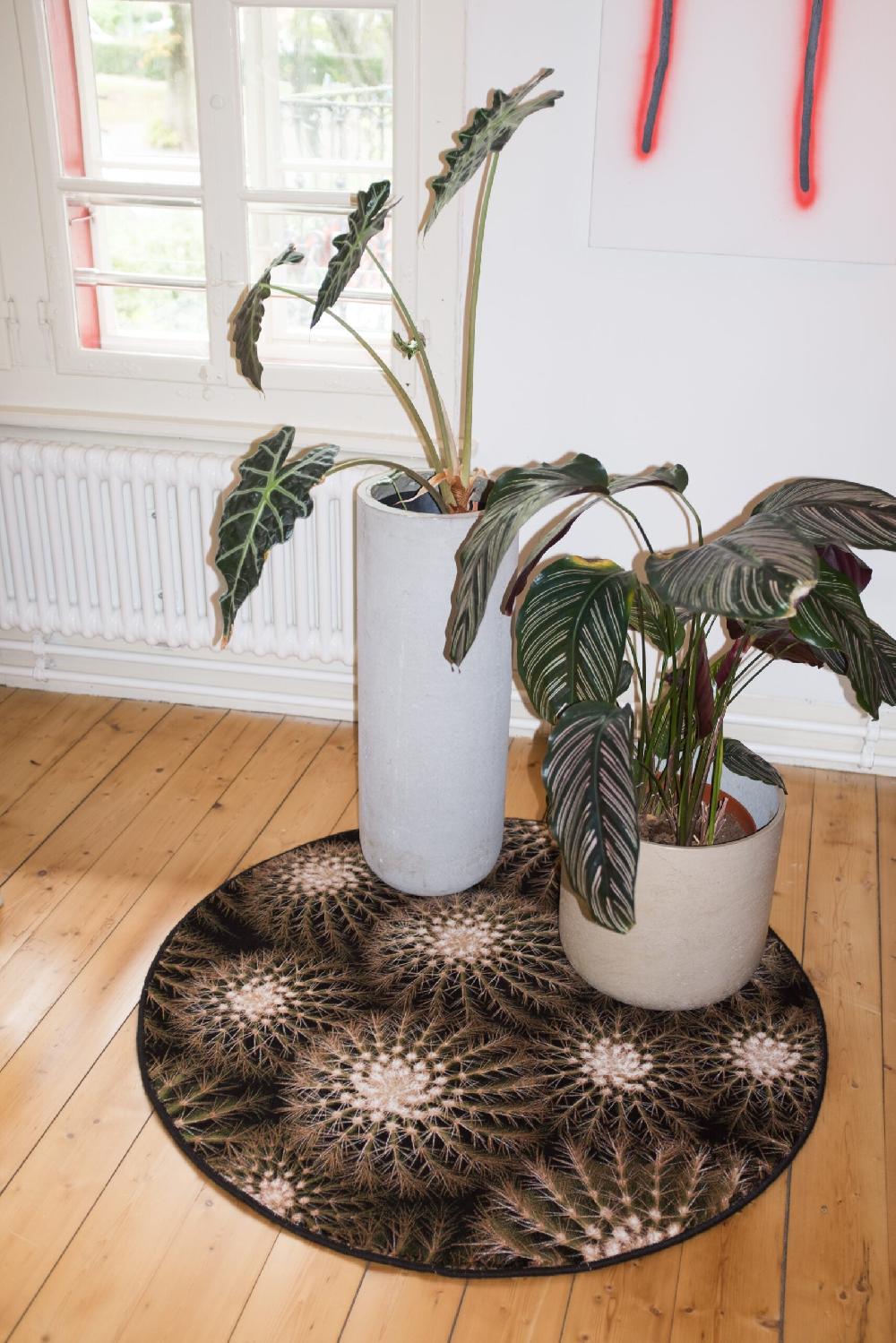 Schoenstaub Rug Tropicana 6 Green