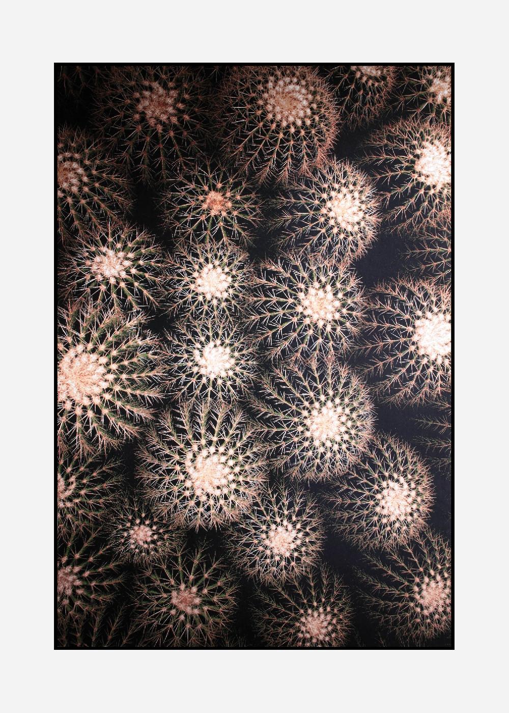 schoenstaub Rug Tropicana 6 Green