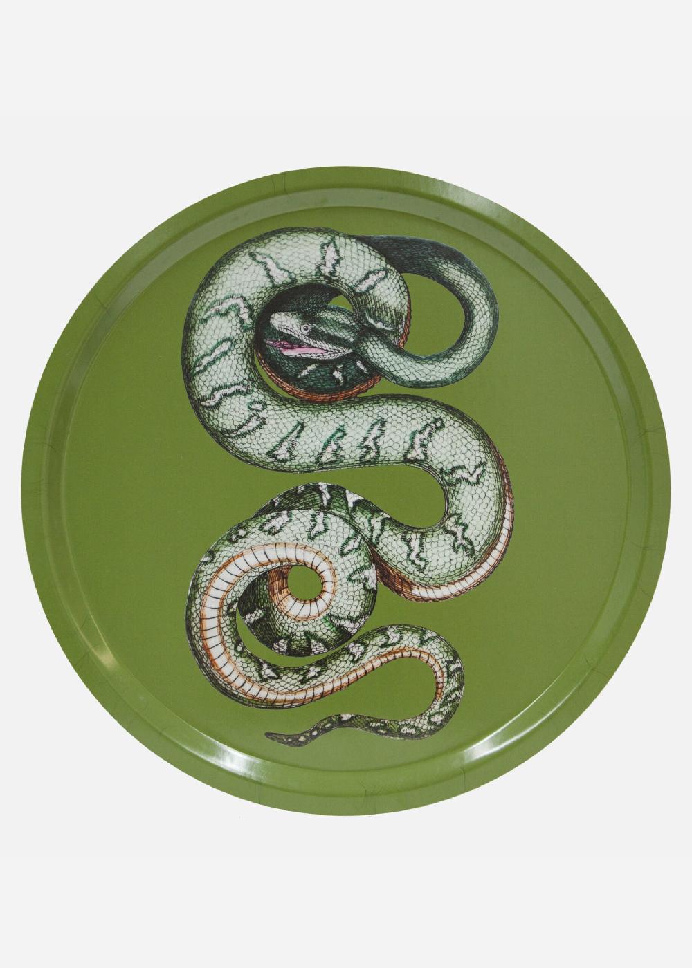 schoenstaub Tray Serpentes 1 Green