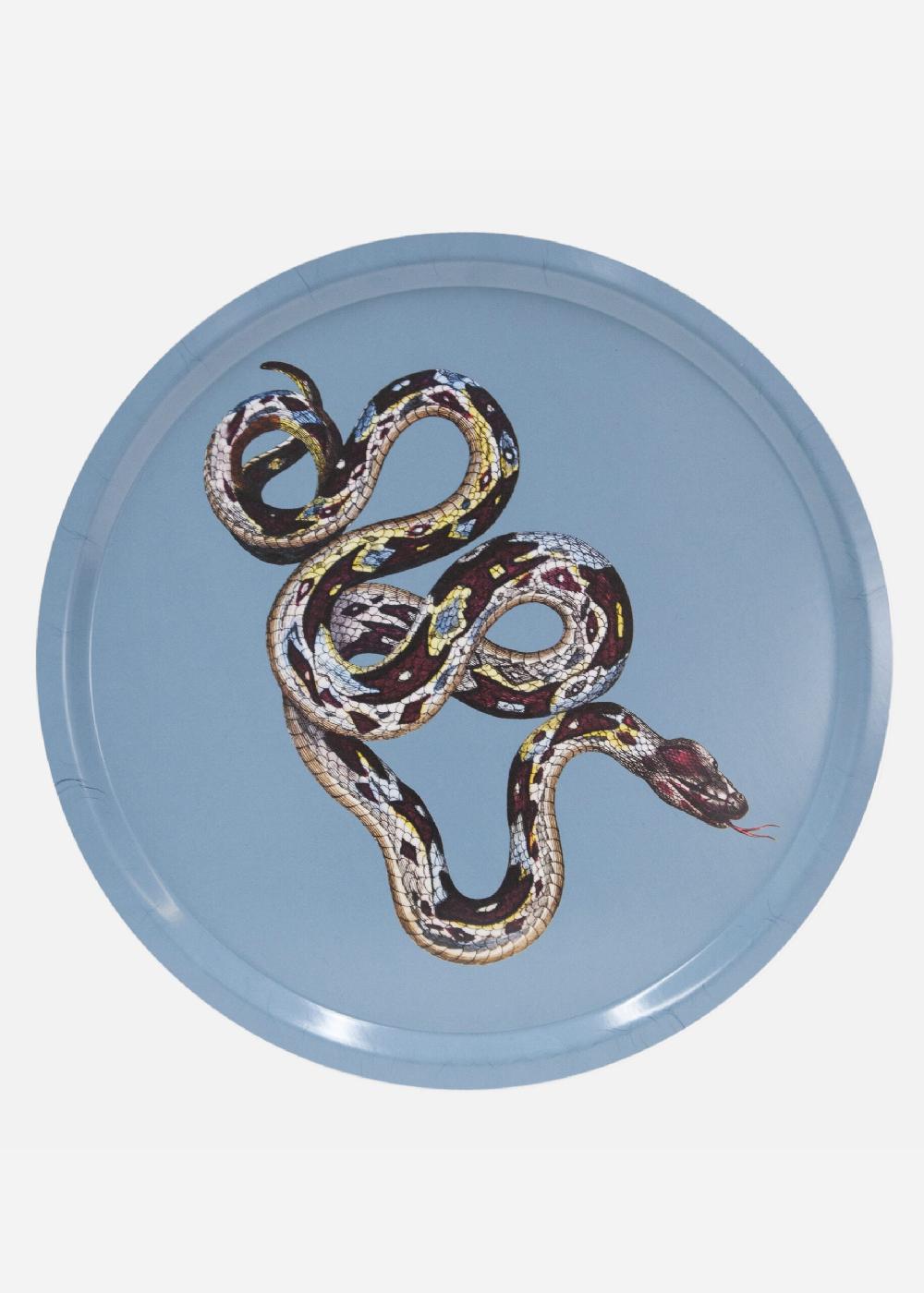 schoenstaub Tray Serpentes 2 Blue