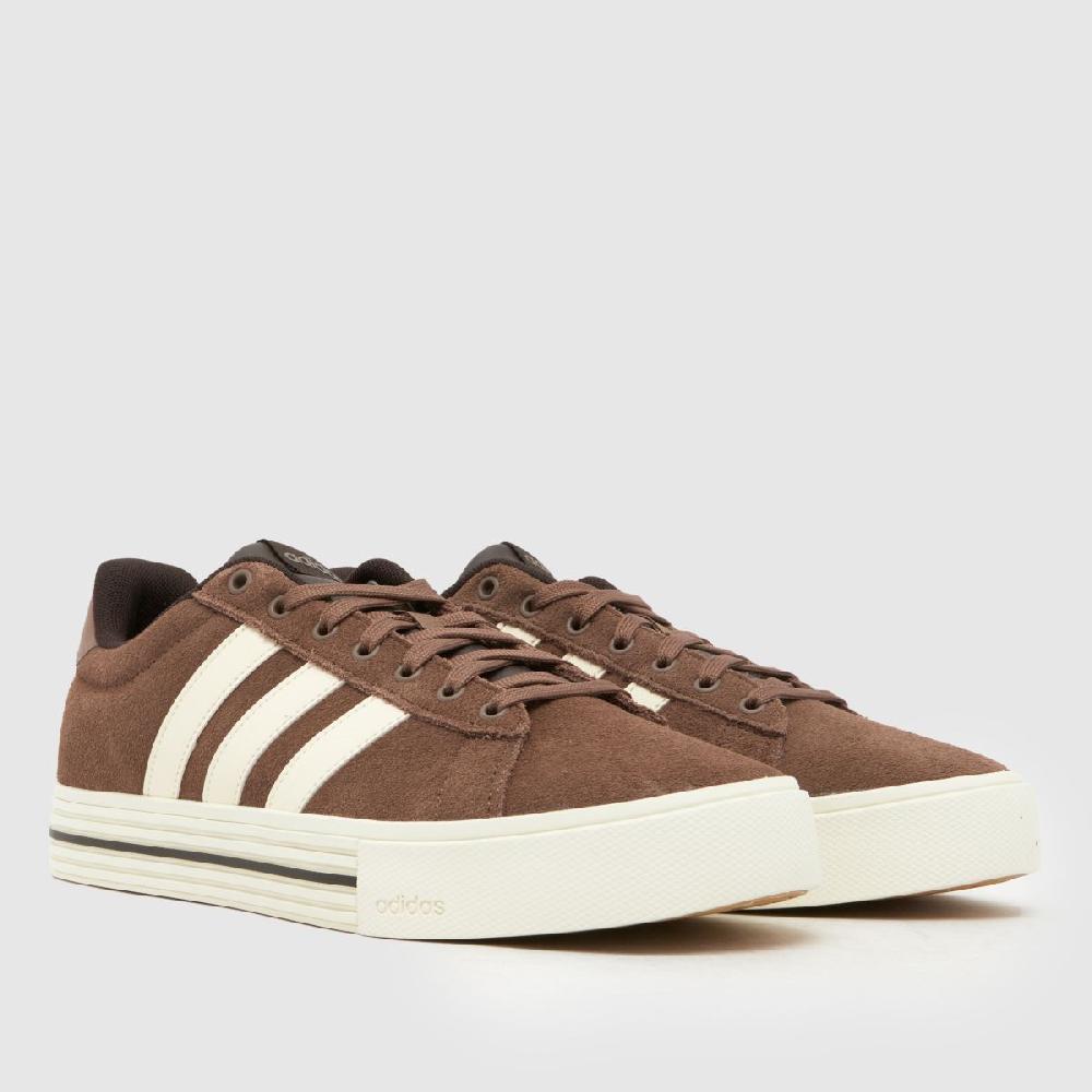 Schuh Adidas Daily 4.0 In Brown Multi