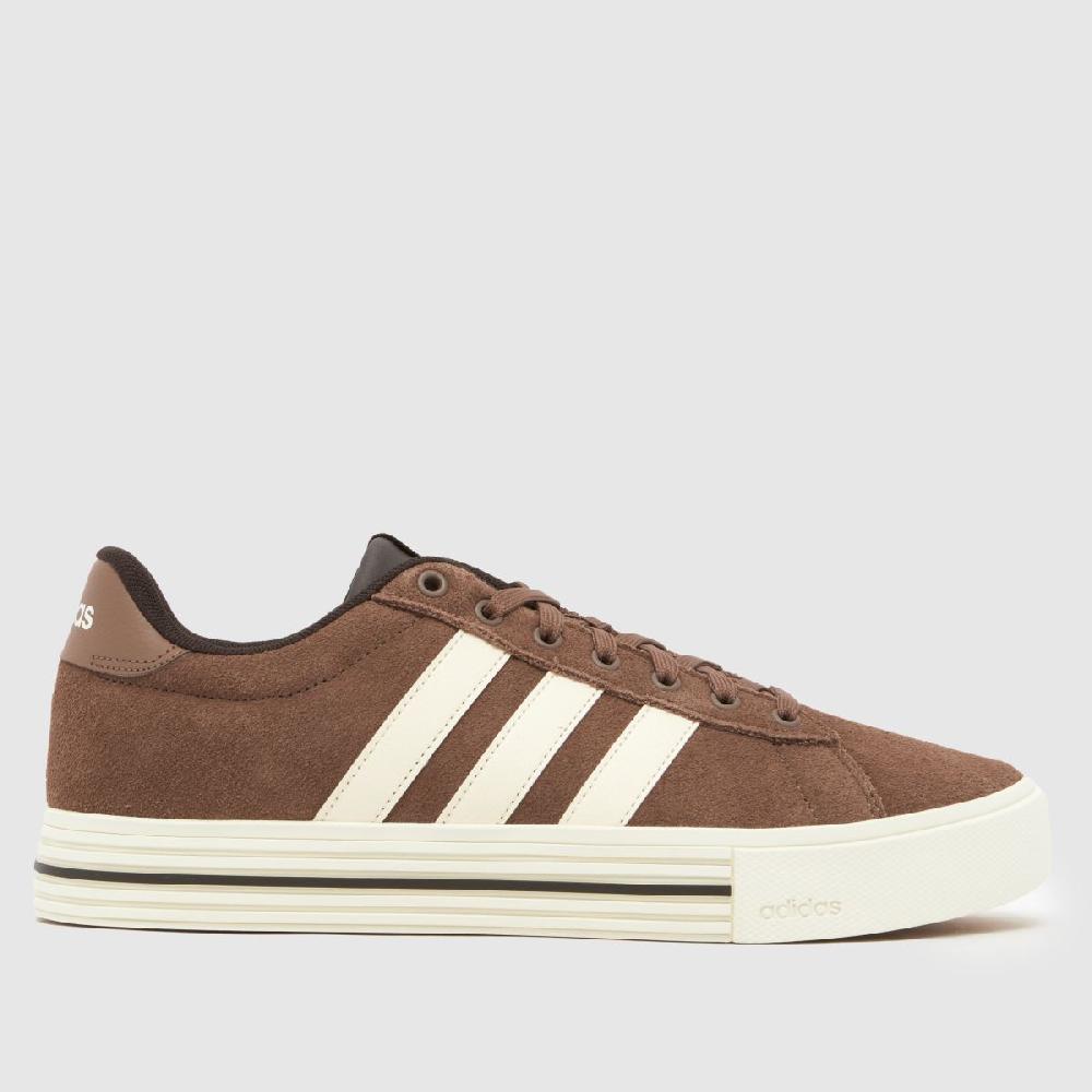 schuh adidas Daily 4.0 in Brown Multi