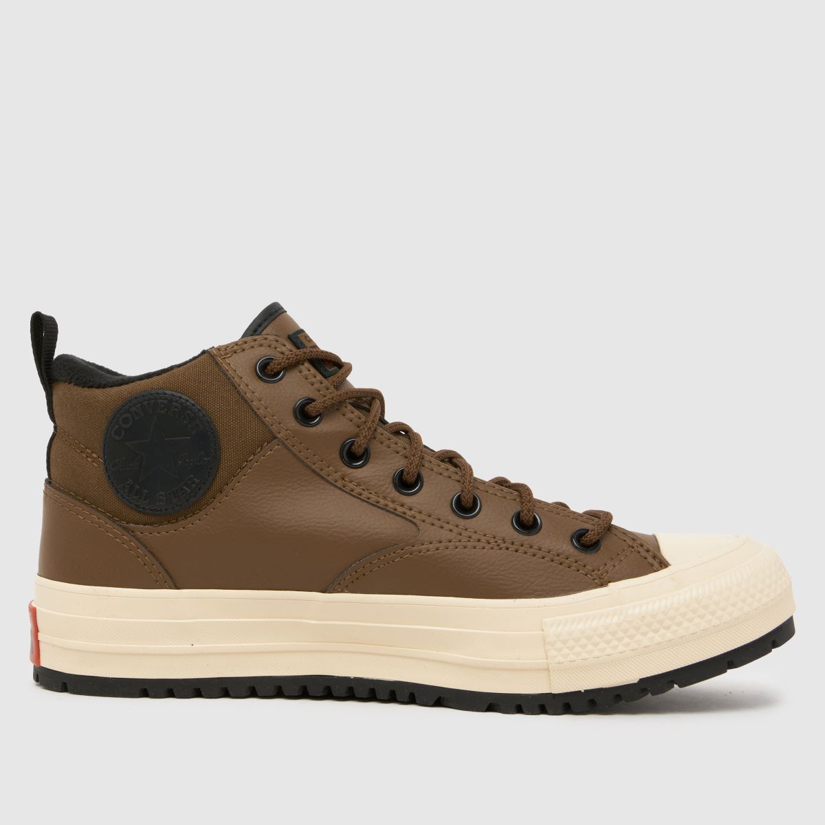 schuh Converse All Star Malden in Brown