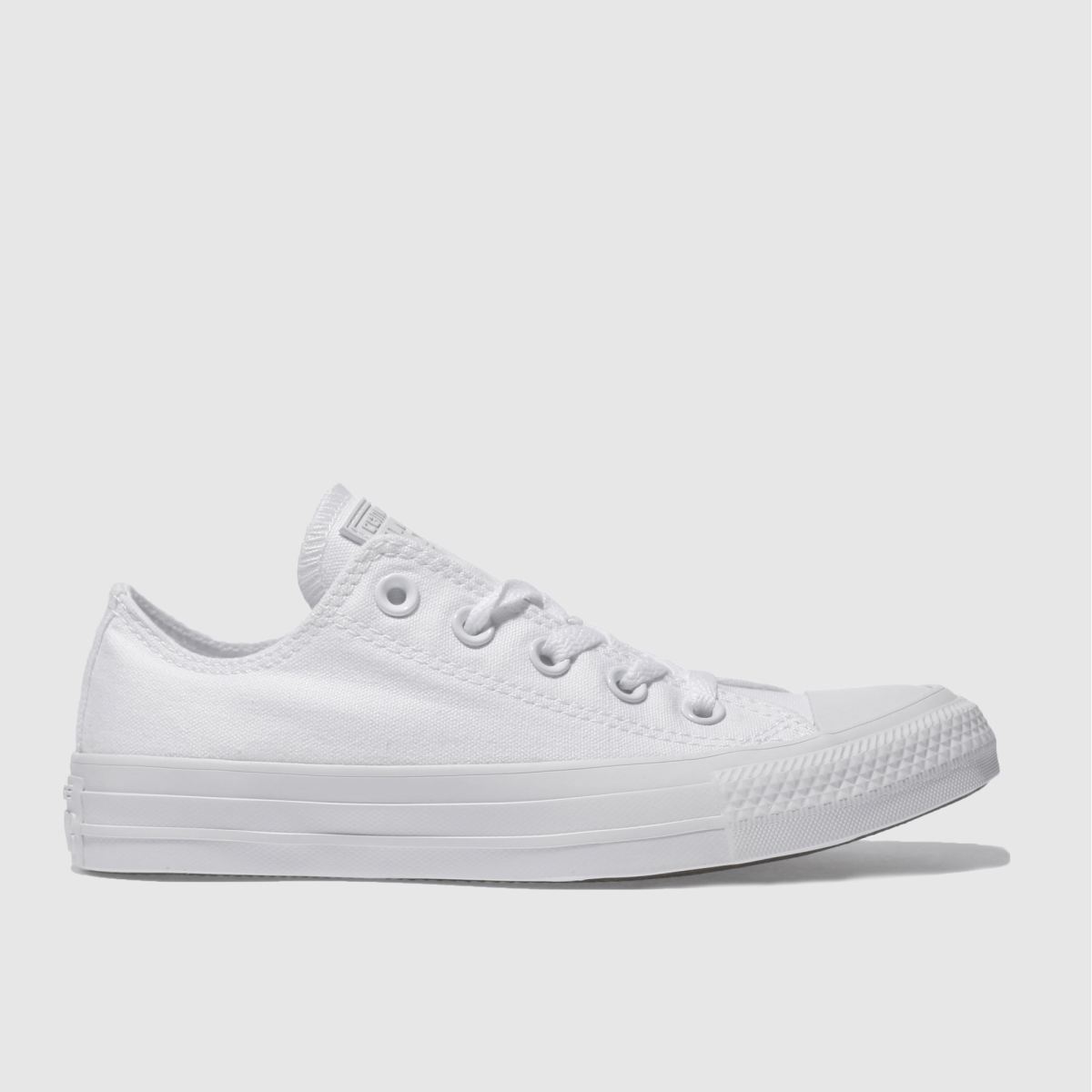 schuh Converse All Star Mono Ox in White