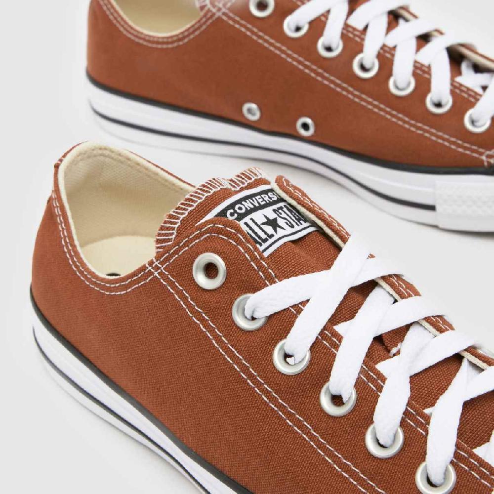 Schuh Converse All Star Ox In Brown