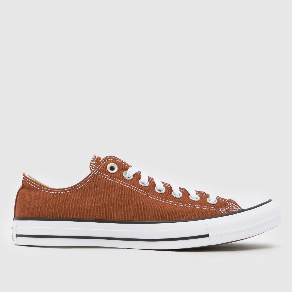 schuh Converse All Star Ox in Brown
