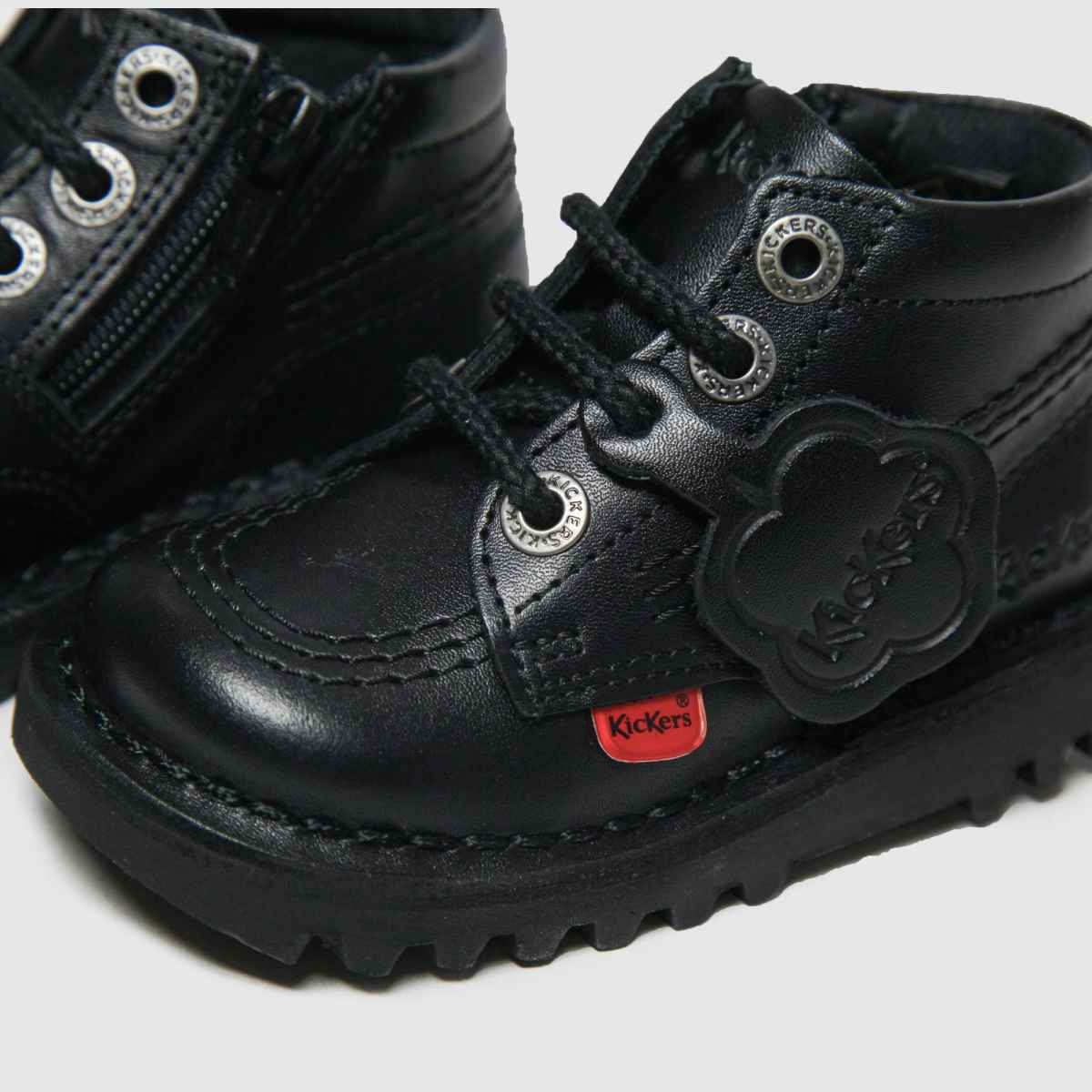 Schuh Kickers Hi Zip Toddler In Black