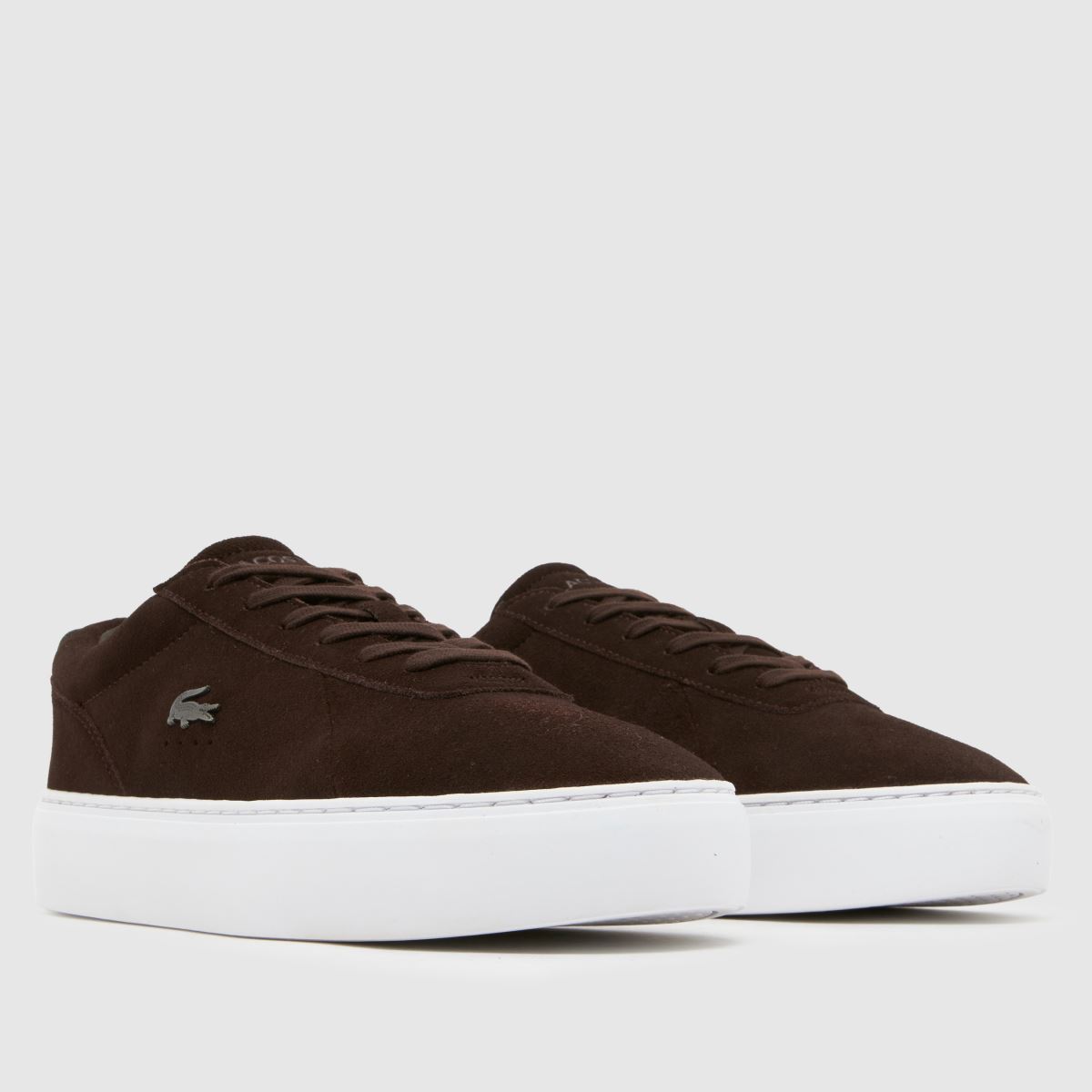 Schuh Lacoste Courtset In Brown & White