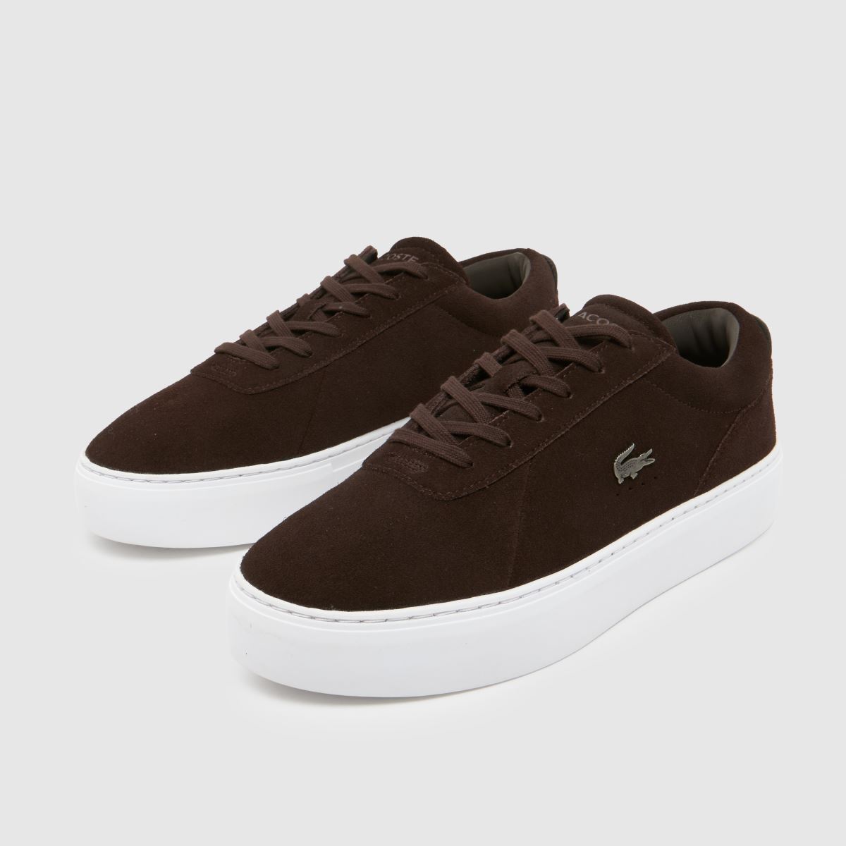 Schuh Lacoste Courtset In Brown & White