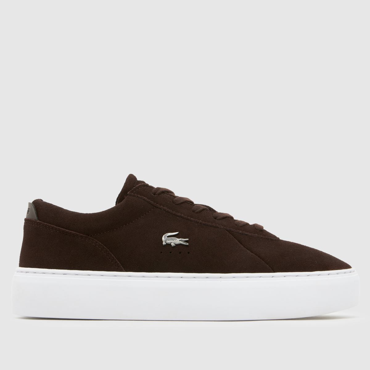 schuh Lacoste Courtset in Brown & White