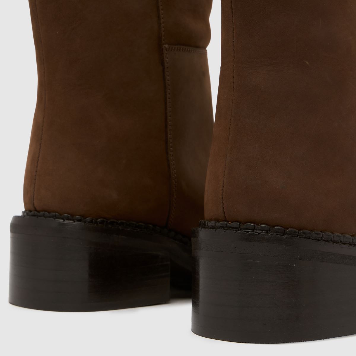 Schuh Schuh Doria Suede Knee High In Brown