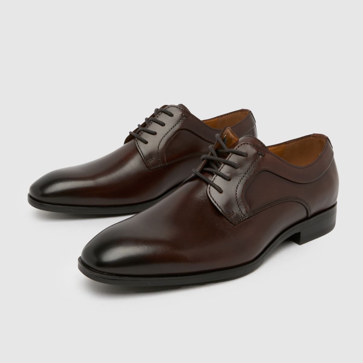 Schuh Schuh Rail Derby In Brown