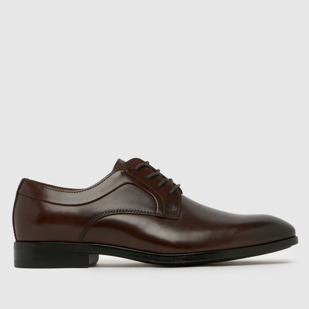 schuh schuh Rail Derby in Brown