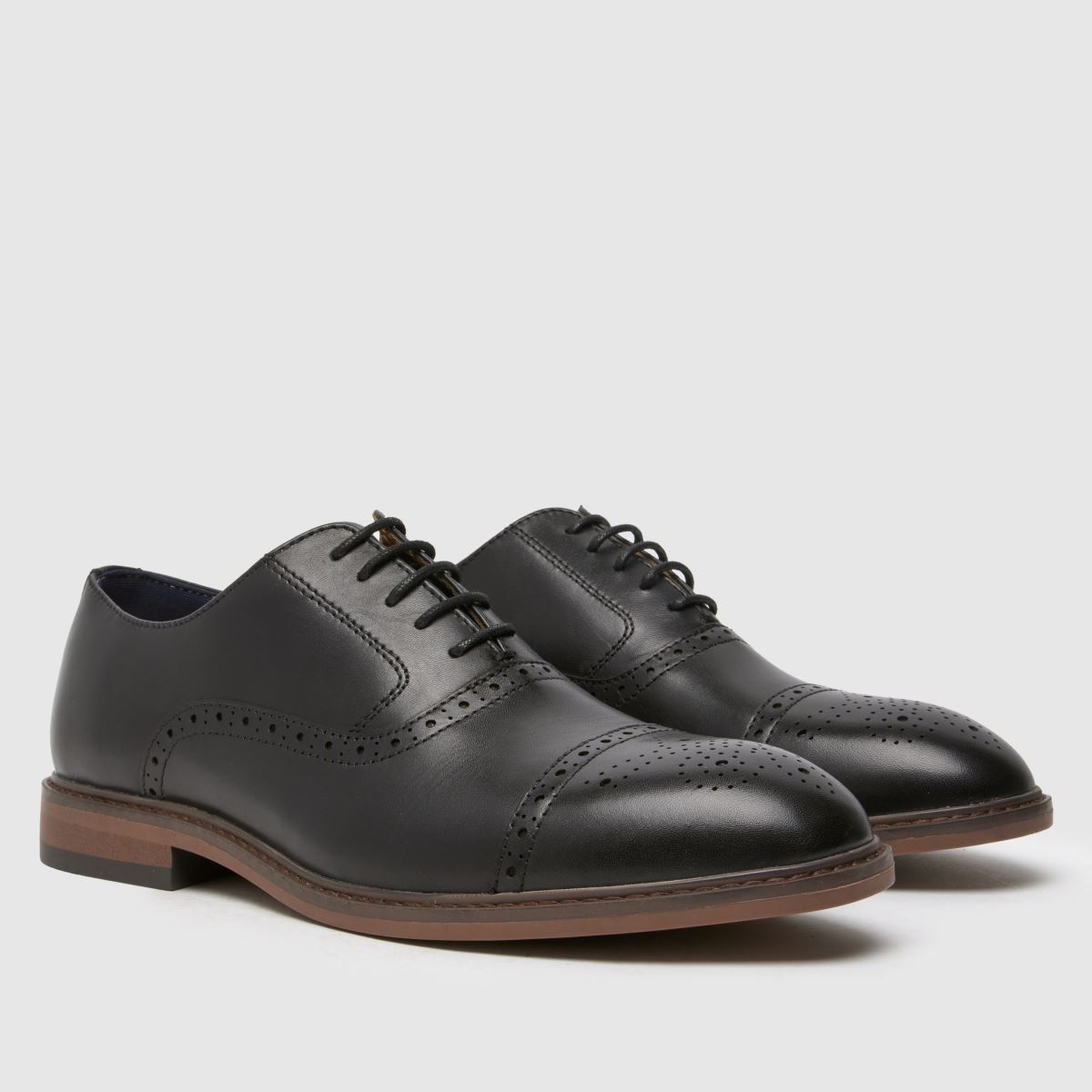 Schuh Schuh Raven Brogue In Black