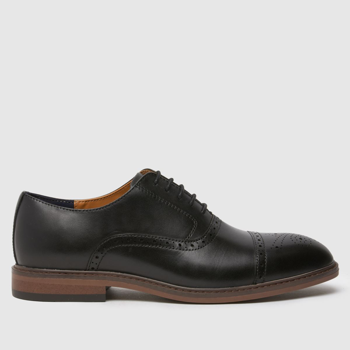 schuh schuh Raven Brogue in Black