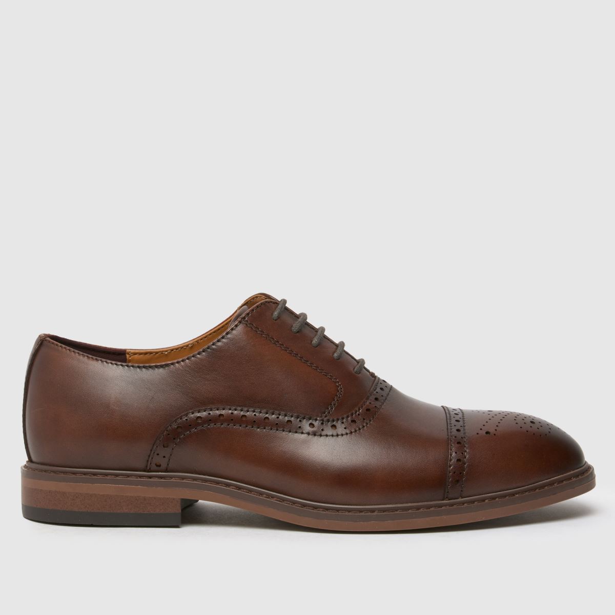 schuh schuh Raven Brogue in Brown
