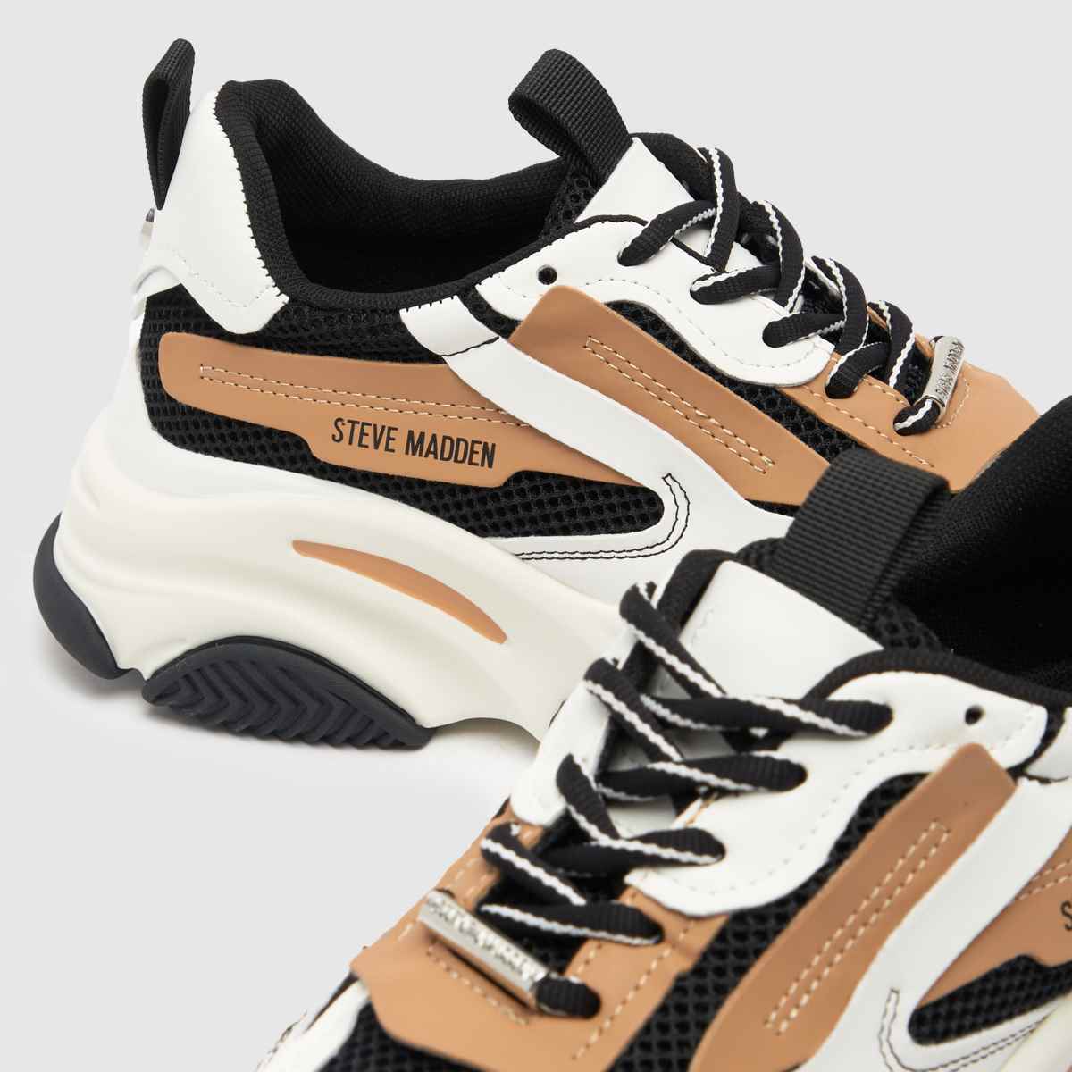 Schuh Steve Madden Possession In Black & Brown