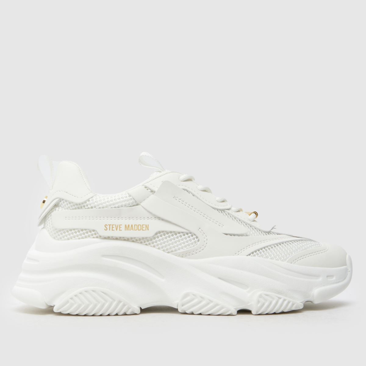 schuh Steve Madden Possession in White