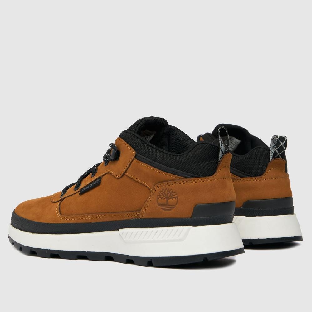 Schuh Timberland Field Trekker Low In Tan