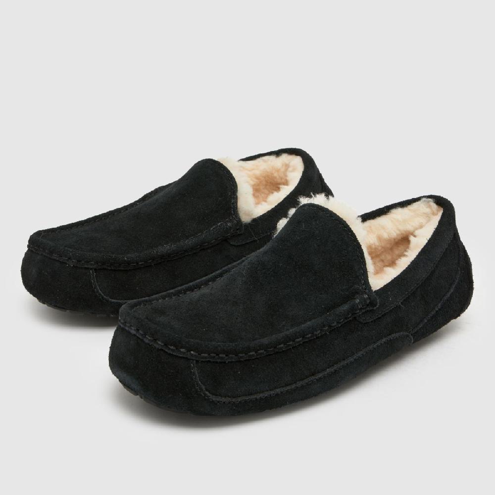 Schuh UGG Ascot In Black