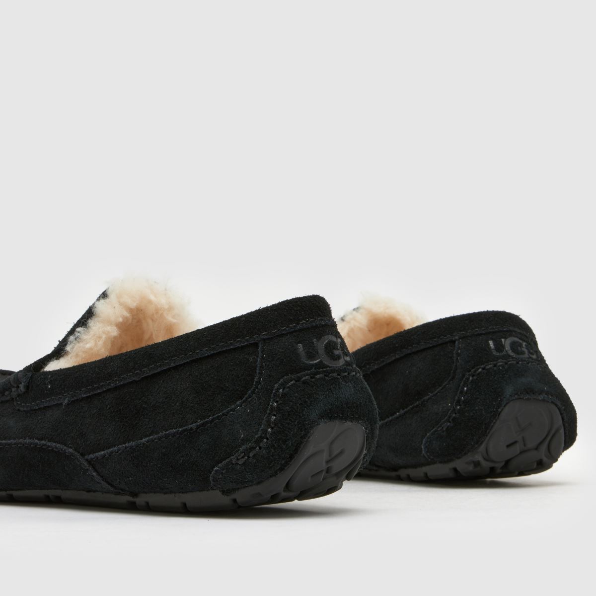 Schuh UGG Ascot In Black