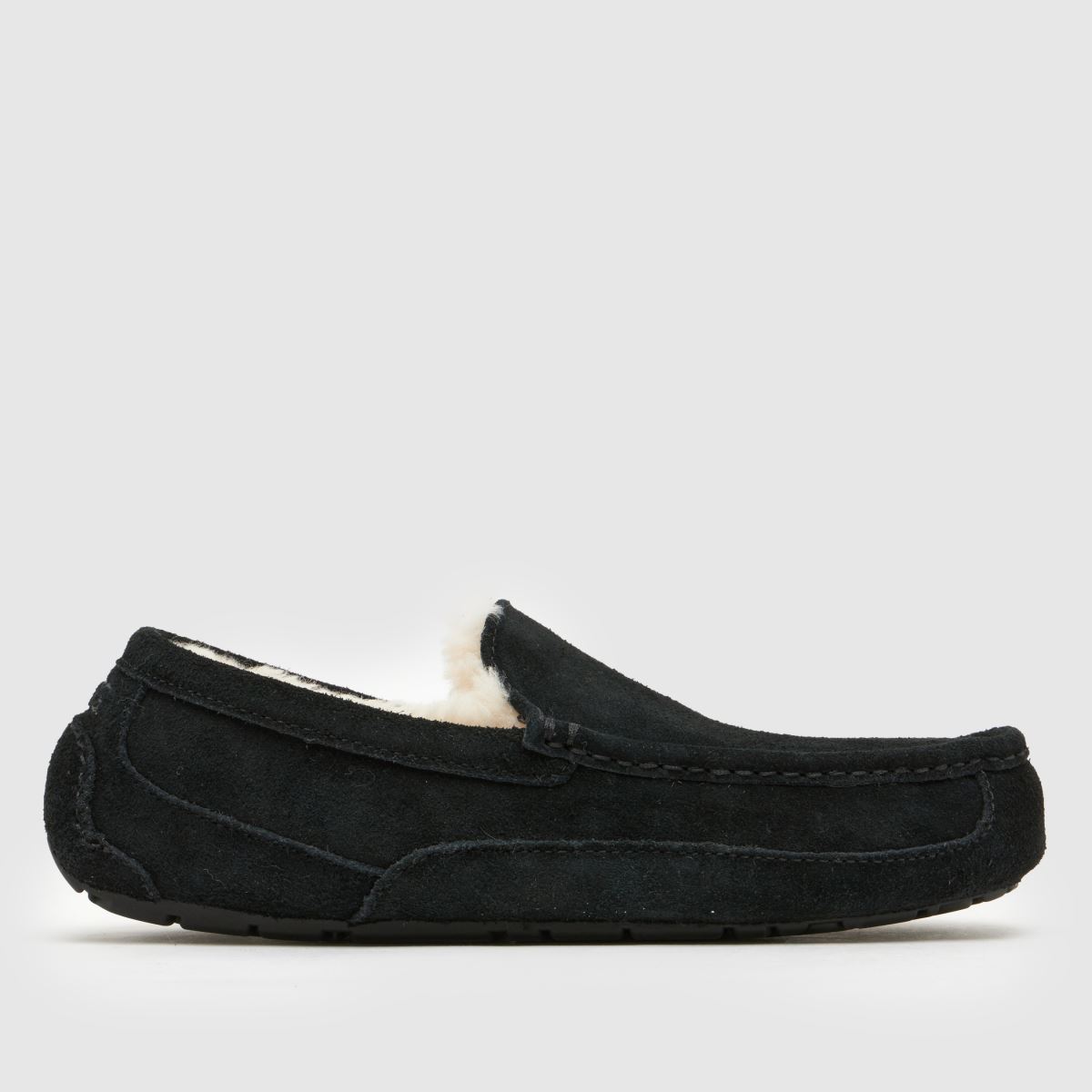 schuh UGG Ascot in Black