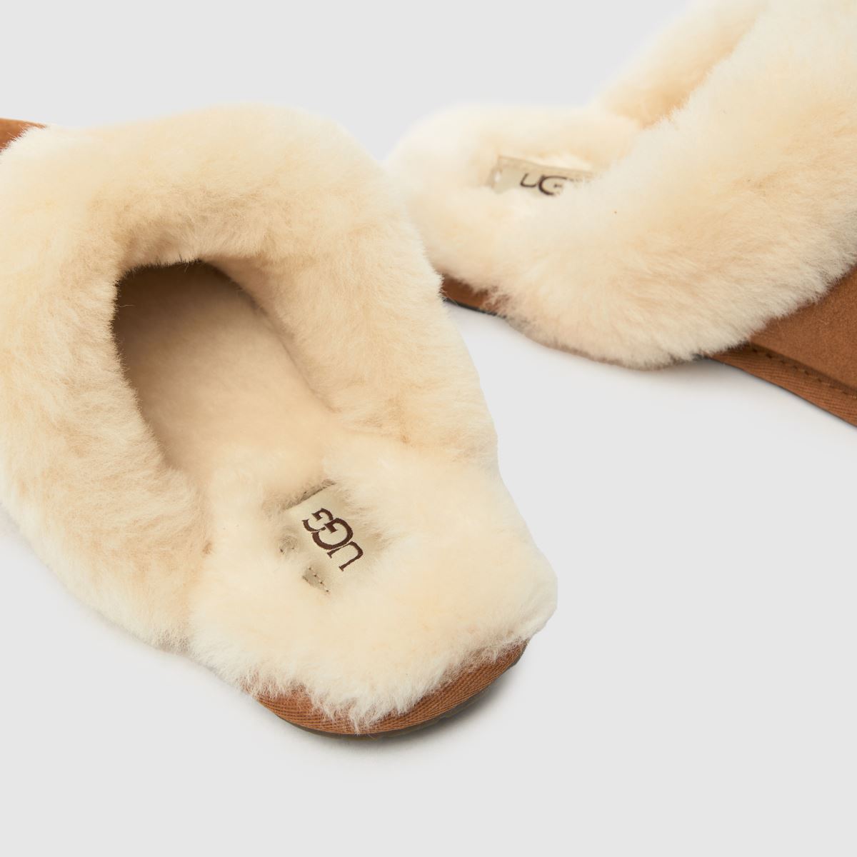 Schuh UGG Scuffette II In Chestnut